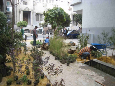 <a class="fancybox" rel="gallery-images" href="https://cuipcairo.org/sites/default/files/styles/largest/public/11._img_5068.jpg?itok=81JRGIPQ" title="Construction phase: Planting">Enlarge</a><br >Construction phase: Planting