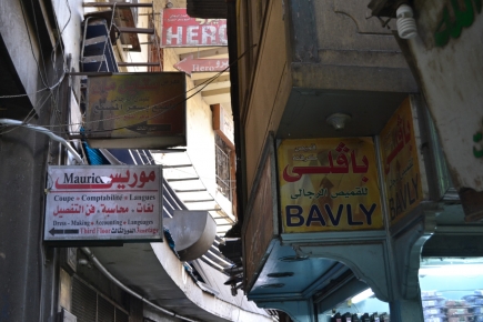 <a class="fancybox" rel="gallery-signage-and-space-annotations" href="https://cuipcairo.org/sites/default/files/styles/largest/public/dsc_0058_01_0.jpg?itok=n0Hm2-Kl" title="">Enlarge</a><br >
