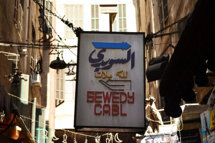 <a class="fancybox" rel="gallery-signage-and-space-annotations" href="https://cuipcairo.org/sites/default/files/styles/largest/public/dsc_0344b_01_0.jpg?itok=XZB47no3" title="">Enlarge</a><br >