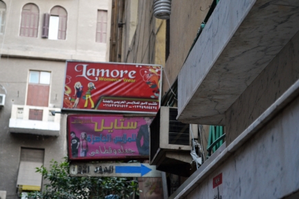 <a class="fancybox" rel="gallery-signage-and-space-annotations" href="https://cuipcairo.org/sites/default/files/styles/largest/public/dsc_0406_01_1.jpg?itok=5JIgKxEH" title="">Enlarge</a><br >