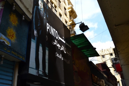 <a class="fancybox" rel="gallery-signage-and-space-annotations" href="https://cuipcairo.org/sites/default/files/styles/largest/public/dsc_0545_01.jpg?itok=1onrjfzv" title="">Enlarge</a><br >