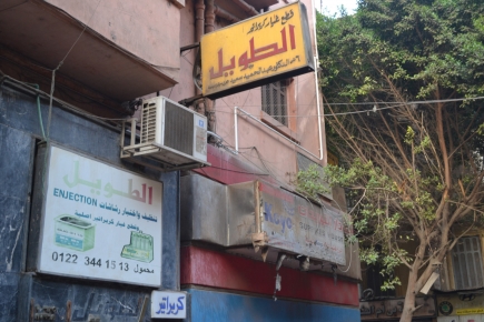 <a class="fancybox" rel="gallery-signage-and-space-annotations" href="https://cuipcairo.org/sites/default/files/styles/largest/public/dsc_0756_01_1.jpg?itok=H0wp3wqA" title="">Enlarge</a><br >