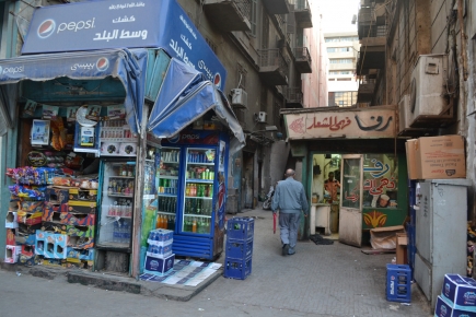 <a class="fancybox" rel="gallery-encroachments-and-territory-markers" href="https://cuipcairo.org/sites/default/files/styles/largest/public/dsc_0787_01_0.jpg?itok=NfdVs5Qu" title="">Enlarge</a><br >