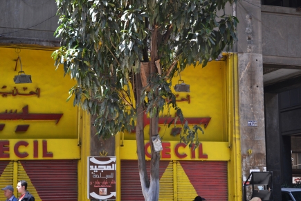 <a class="fancybox" rel="gallery-signage-and-space-annotations" href="https://cuipcairo.org/sites/default/files/styles/largest/public/e5i008_2.jpg?itok=-rnS7pPC" title="Old facade of a shoe shop on the southern side of the passageway.">Enlarge</a><br >2015, Sep 15, 03:09pm<br>Old facade of a shoe shop on the southern side of the passageway.